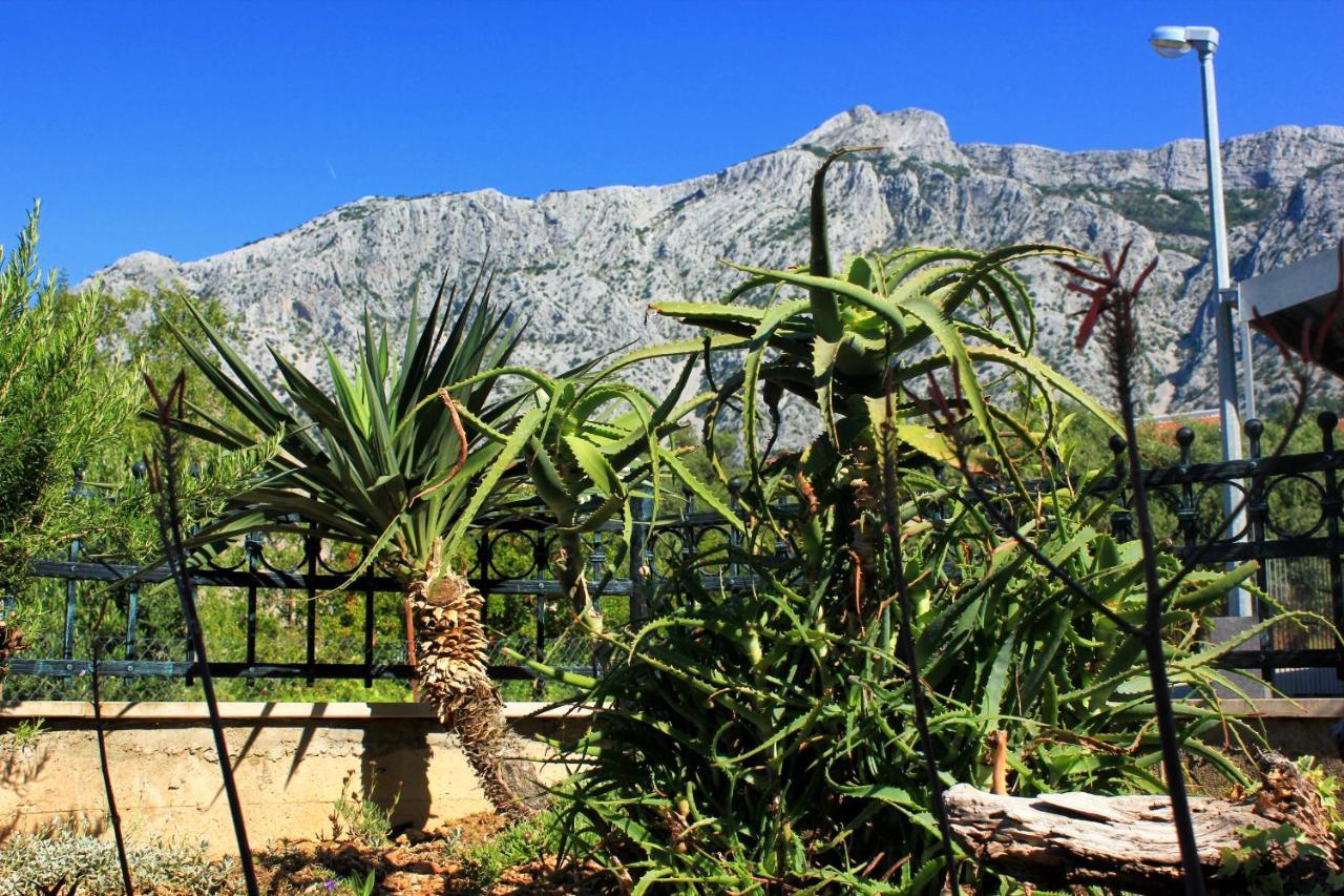 Apartments With A Parking Space Orebic, Peljesac - 10157 Екстер'єр фото